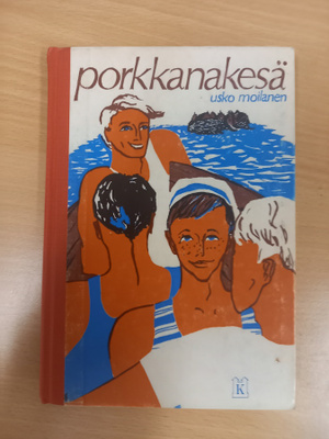 Usko Moilanen: Porkkanakesä