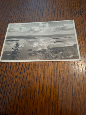 12 Koli