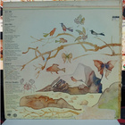 Shakti With John McLaughlin - Natural Elements lp 1977 - pikkukuva 2
