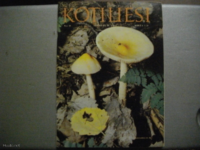Kotiliesi Nro 18/1966 (12.11)