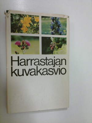 Lorentz (suunnittelu) Bolin : Harrastajan kuvakasvio