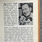 Aapeli; Alvari kananvahti - pikkukuva 2