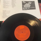 The Nights of Iguana: Grapefruit Tree 1987 LP - pikkukuva 3