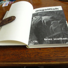 b. walker lehtikalat opas kasvattajille t.f.h 1974 n.127siv - pikkukuva 2