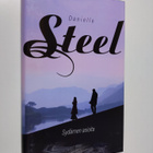 Danielle Steel : Sydämen asioita - pikkukuva 1