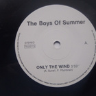 THE BOYS OF SUMMER 7 " Vinyyli Single - pikkukuva 3