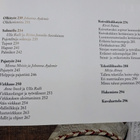 Taito tehdä ilo onnistua - toim. Johanna Aydemir - pikkukuva 3