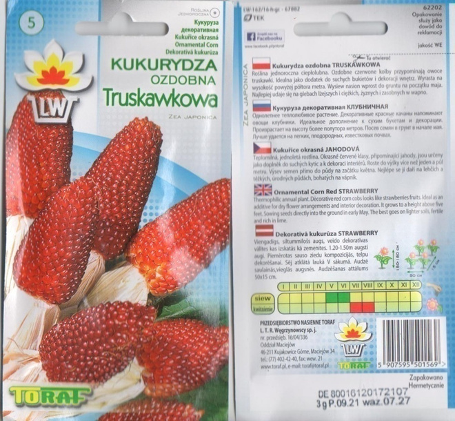 Koristemaissi "Mansikka" siemenet #