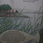 Arto Paasilinnan taivaallinen herkkukirja - pikkukuva 2
