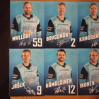 2022-23 Pelicans Team Issuet 1,50€ kpl - pikkukuva 3