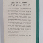 Rebekka Räsänen : Musta lammas lyö päänsä seinään : romaa... - pikkukuva 2