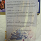 Harlequin antologia 3 kirjaa Vangittu tähti - pikkukuva 2