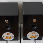 Monitor Audio Radius R90 kaiuttimet - pikkukuva 2