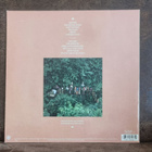 Paul Simon • Rhythm of Saints LP - pikkukuva 2