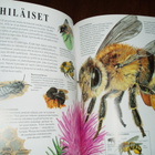 Ihmeelliset ötökät - pikkukuva 4