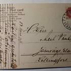 Lapsi, jättimäinen hevosenkenkä, lemmikkiköynnös, p. 1907 - pikkukuva 2