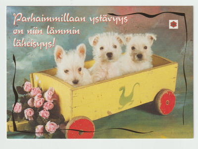 Ehiö -Suomen Syöpäpotilaat/Karto : Koiranpennut (R)