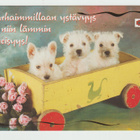 Ehiö -Suomen Syöpäpotilaat/Karto : Koiranpennut (R) - pikkukuva 1