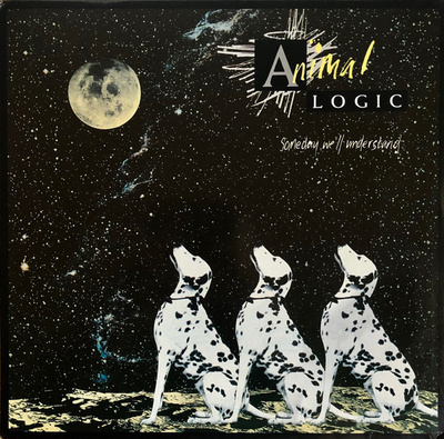 Animal Logic - Someday We'll Understand