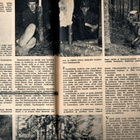 Apu n:o 25/26 1961 Tukkijoella. Kyröön kesäkäräjät. Brigitte - pikkukuva 3