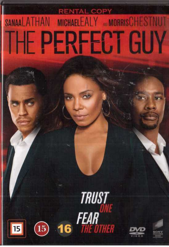 THE PERFECT GUY