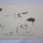 VANHA Postikortti Janakkala Sankarihaudat 1940-luku - pikkukuva 2