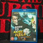 Born to Raise Hell - pikkukuva 1