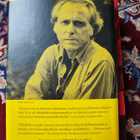 Putoava mies Don Delillo - pikkukuva 2