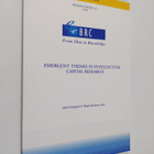 Emergent themes in intellectual capital research - pikkukuva 1