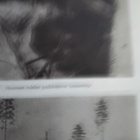 Kollaa kestää kirja. - pikkukuva 4
