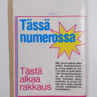 Riitta Koivula : Rakkaus on aamuauringon raikkautta - pikkukuva 2