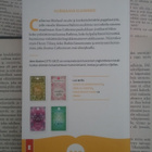 Jane Austen - Neito vanhassa linnassa (pokkari) - pikkukuva 2