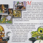 DVD: Tapaus Punahilkka - pikkukuva 3