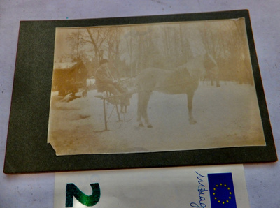 VANHA CDV Valokuva Hevonen TODELLA Erikoinen Reki 1900-l