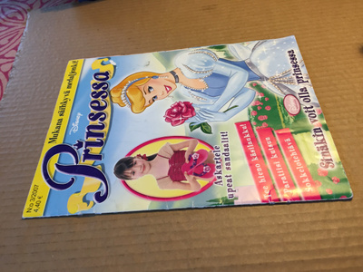 PRINSESSA LEHTI 3/2007 HYVÄ
