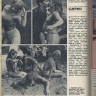 Apu n:o 42 1965 Kekkonen tunisiassa.  Soreat soranajajat. - pikkukuva 5