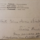 Vanha kuusivuotiskortti, nro 6, lauma lapsia ja äiti, k. k-k - pikkukuva 2