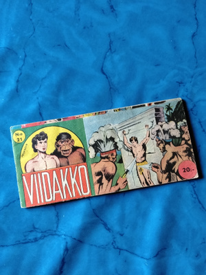 viidakko 1vsk 21