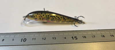 Salmo