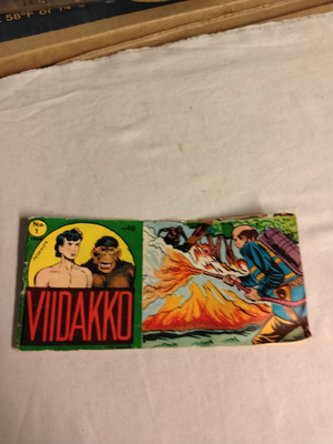 viidakk 10vsk 1