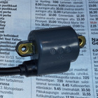 Uusi Echo Sytytyspuola Puola Tyristori CS-4000, 4010, 4500 - pikkukuva 1