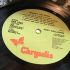 Rory Gallagher Against The Grain  1975 Ger/dk press gf - pikkukuva 3