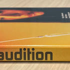 Takashi Miike: AUDITION (1999) Ryo Murakamin romaanista - pikkukuva 3