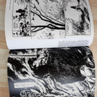 Paul Gravett Manga 60-v japanilaista sarjakuvaa PRIIMA!! - pikkukuva 3