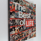 David Edward Scherman : The Best of Life - pikkukuva 1