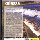 DVD: JARIN KANSSA KALASSA (UUSI MUOVEISSA) - pikkukuva 2