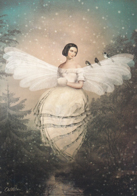 Catrin Welz-Stein: Lumen yöperhonen