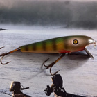 Pflueger palomine vaappu - pikkukuva 2