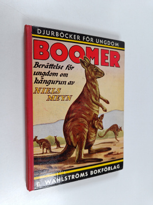 Niels Meyn : Boomer : den stora kängurun