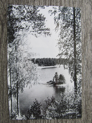 PUNKAHARJU.....vesistö näkymä, vanha kortti.